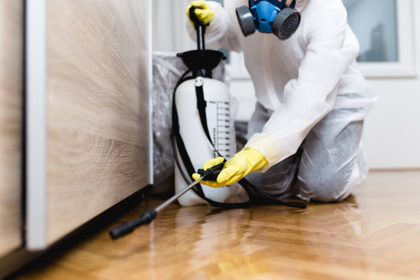 Best Pest Control for Homes  in Barry, IL