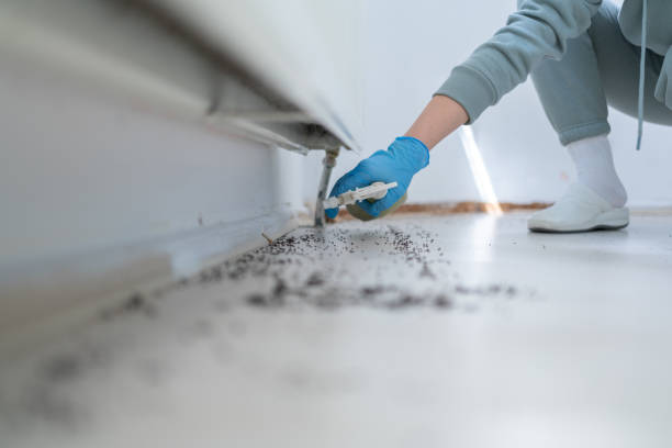 Best Ant Control Services  in Barry, IL